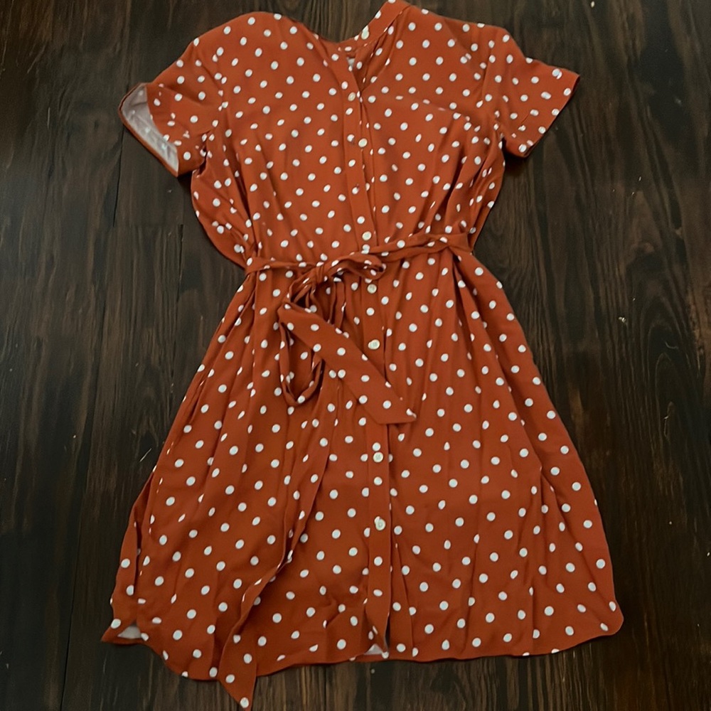 Loft brown polka dot dress